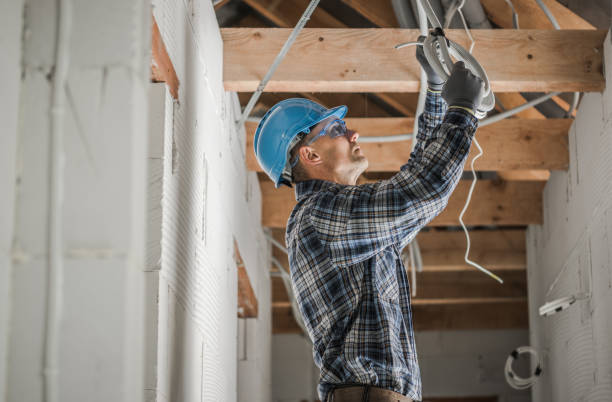 Best Electrical System Inspection  in Mountain Village, CO